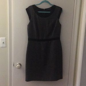 The Limited Sheath Dress 12